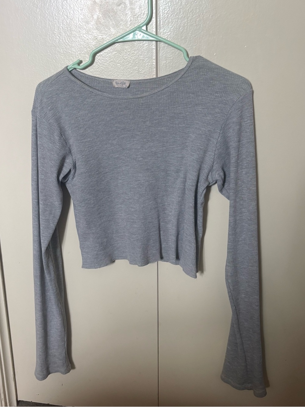 Brandy Melville Light Gray Ribbed Long Sleeve Crop Top